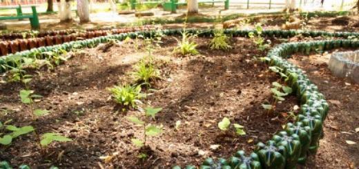 Cum să-ți diversifici grădina cu meșteșuguri realizate manual Cum să faci un pat de flori din pietre