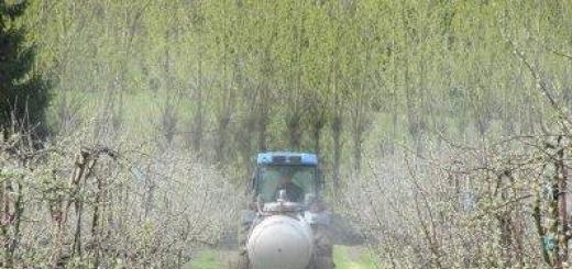 Ako ošetrovať stromy a kríky proti škodcom na začiatku jari?