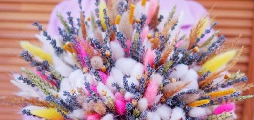 الزهور المجففة: زراعة وإنشاء تركيبة بيديك تكوين أرضية من الزهور المجففة