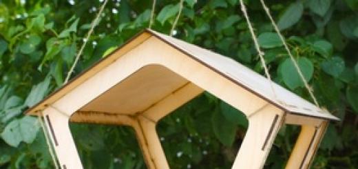 Bird feeder: ideas and best options for how to equip it yourself (105 photos)