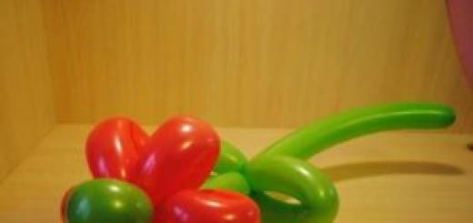 DIY balon çiçəkləri - master-klass