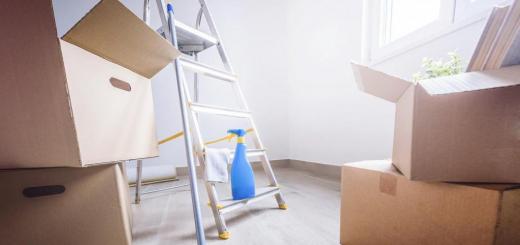 Decluttering your apartment: how to get rid of junk